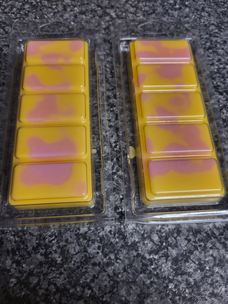 5 Bar Clam Wax Melts