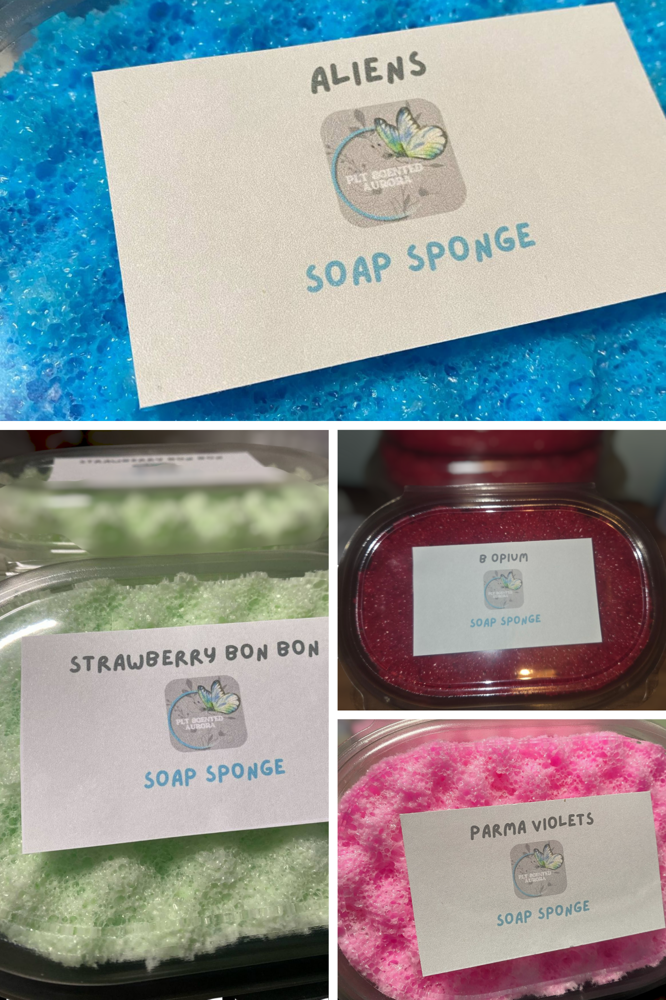 Soap Sponges