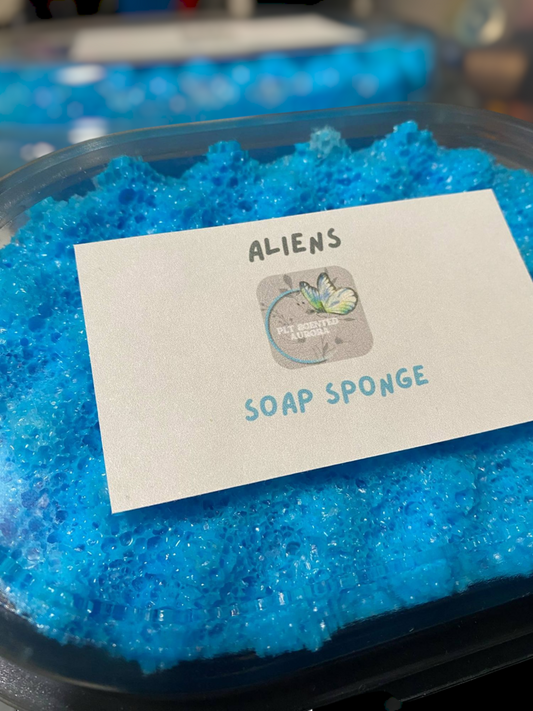 🧼 Scented Soap Sponge 🧼