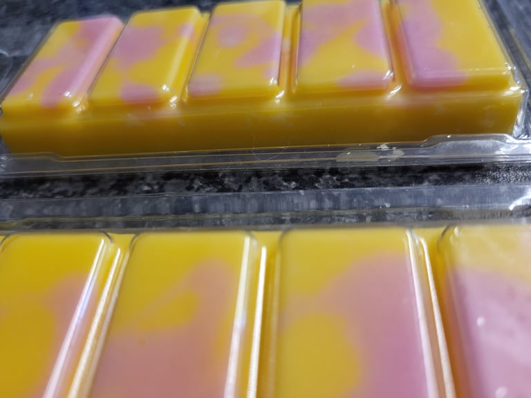 5 Bar Clam Wax Melts